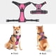 thumbnail image 5 of Arnés Para Perros Sin Tirones Reflectante Ajustable Rosa Talla M, 5 of 7