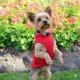 thumbnail image 5 of Suéter para perros, chaleco polar JACKO & CO, rojo para perros pequeños, 5 of 8