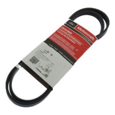 Motorcraft - Correa Accesorios Ford F-150 5.0 2015-2020