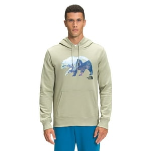 Sudadera Con Capucha The North Face Tnf Bear Para Hombre, Color Verde Té, Talla Xl