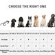 thumbnail image 5 of Cama impermeable para perros MIHIKK, caja ortopédica con funda extraíble, 5 of 6