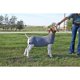 thumbnail image 2 of Tubo de Spandex para Cabras Weaver Livestock, 2 of 3