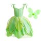 thumbnail image 1 of Vestido de disfraz Dressy Daisy Fancy Fairy Green con alas 4T-5T, 1 of 7