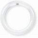 thumbnail image 1 of Bombilla Feit Electric FC8, 8 pulgadas, circular, 1400 lm, 15 W, 120 V, 1 of 3