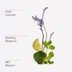 thumbnail image 3 of Recargas Wallflowers de Bath & Body Works - Pack de 4 Clean Vibes, 3 of 7