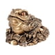 thumbnail image 3 of Figura De Sapo De La Fortuna Feng Shui Para Restaurantes, Tiendas, Decoración Versátil, 3 of 5
