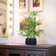 thumbnail image 5 of Planta de bambú artificial 365 Blooming Decor, 45 cm, con maceta negra, 5 of 7