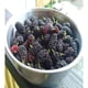 thumbnail image 2 of Aceite de fragancia Mulberry de Virginia Candle Supply 473 ml, 2 of 9
