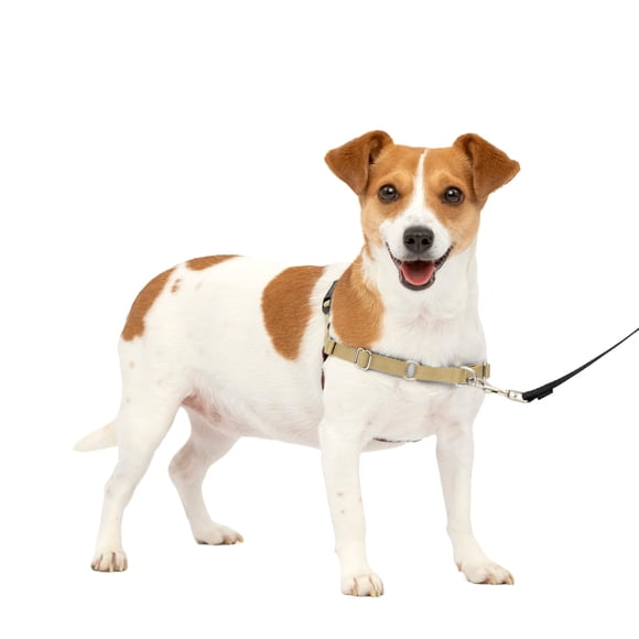Arnés PetSafe Easy Walk para perros pequeños, color marrón