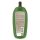 thumbnail image 2 of Shampoo Tio Nacho Keratina, 950 ml, 2 of 2