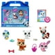 thumbnail image 1 of Set de coleccionista Littlest Pet Shop Winter Besties LPS Gen 7, 1 of 3