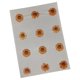 thumbnail image 1 of 12 Flores Prensadas Secas Para Manualidades, Marcapáginas, Sobres, Fabricación De Jabón, Color Naranja, 1 of 5