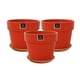 thumbnail image 1 of Set de 3 Maceta Greta 16cm Tomate y sus platos, 1 of 3