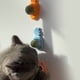 thumbnail image 3 of Pelota para lamer perros y gatos giratoria de 360°, juguete para masticar, juguete para limpiar los dientes para morder perros y gatos, 3 of 5