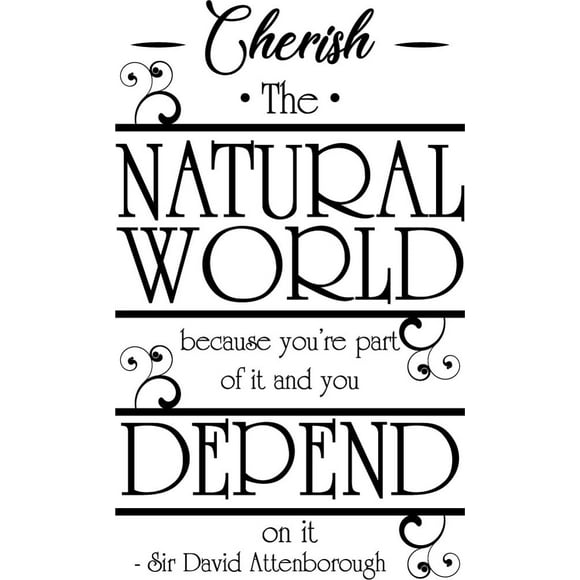 Decomural Cherish The World David Attenborough WS-41490