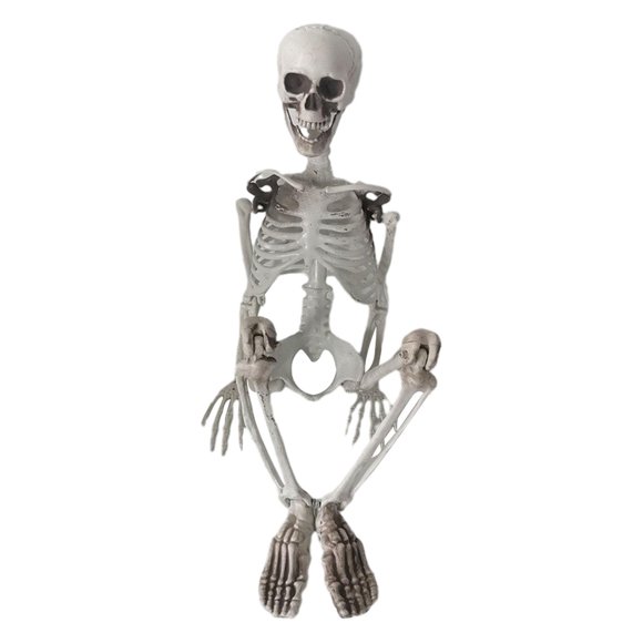 Esqueleto De Halloween Decoración Esqueletos De Articulaciones Móviles De Cuerpo Completo Para Vacaciones