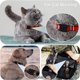 thumbnail image 4 of Funda de silicona para collar de perro Life360 Tile Mate Tracker, 4 of 7