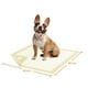 thumbnail image 2 of 100 Pañales Sabanillas Mascotas Perros 45x60cm Zooper Dog, 2 of 3