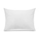 thumbnail image 2 of Almohada Rosen Plus 50x90, 2 of 3