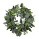 thumbnail image 1 of Guirnalda De Eucalipto Verde Guirnalda Grande Interior Puerta Principal Decoraciones Para El Hogar Color A, 1 of 5