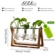 thumbnail image 2 of Terrario Para Plantas Con Soporte De Madera Y Jarrón De 3 Bulbos, 2 of 7