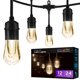 thumbnail image 1 of Cadena de luces Enbrighten 35646 Vintage de 7,3 m con cable negro, 1 of 8