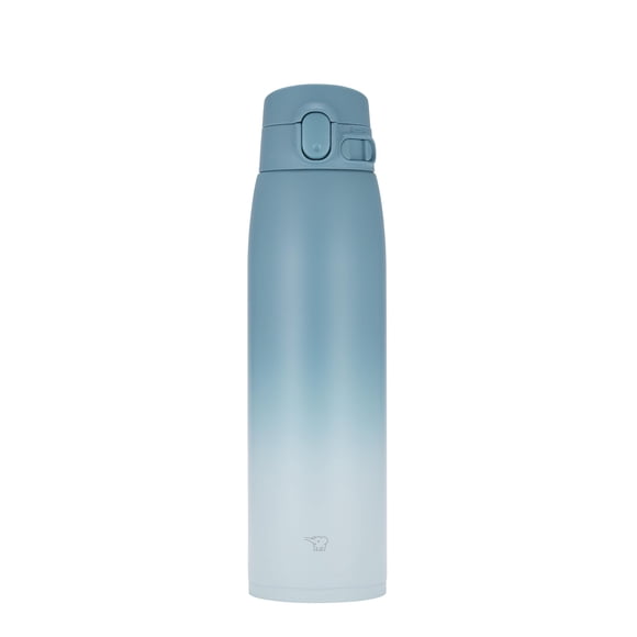 Taza Zojirushi SM-VH95-GZ GoCafe con aislamiento de acero inoxidable, 950 ml