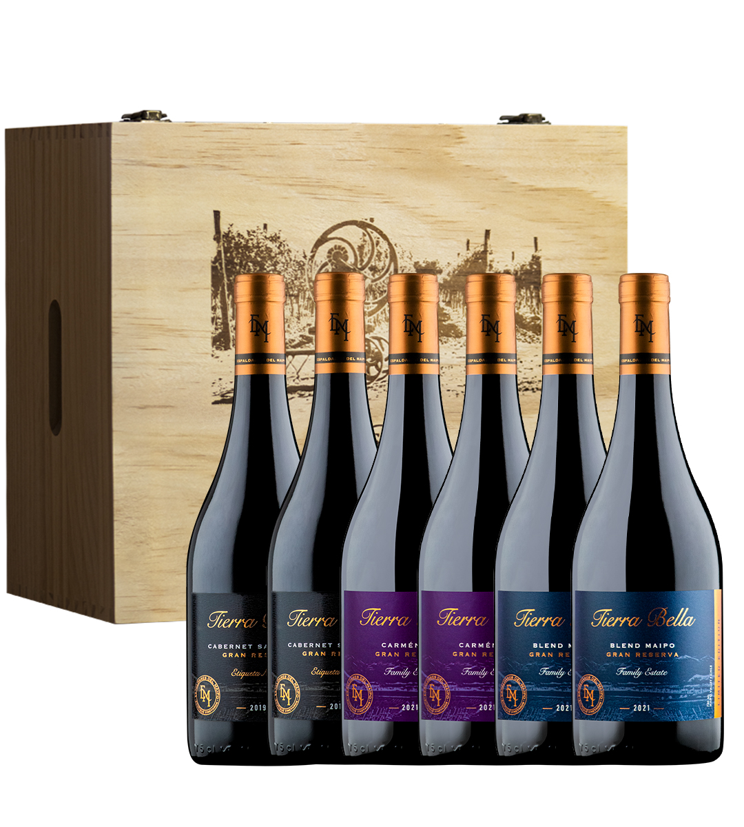 Espaldares Del Maipo - Caja Madera 6 Vinos Tierra Bella Gran Reserva