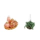 thumbnail image 5 of 1/12 Dollhouse Miniature Bedroom Furniture Kit Perfume Bottles Hanging Plant, 5 of 5