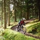thumbnail image 5 of Asiento delantero para bicicleta infantil y manillar combo SHOTGUN, 5 of 7