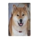 thumbnail image 1 of Cartel de Metal Decorativo Shiba Inu Desmarcar 30x20 cm, 1 of 6