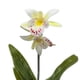 thumbnail image 2 of Planta Artificial Orquidea Blanca Macetero De Ceramica, 2 of 6