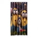 thumbnail image 1 of Cortina de ducha con diseño de Minions, juego de cortinas de baño con ganchos, tamaño 36 x 72 pulgadas, 1 of 3