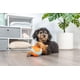 thumbnail image 4 of Juguete para perros Chuckit! Bola Fetch para interiores, 12 cm, naranja y azul, 4 of 5