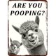 thumbnail image 1 of Letrero metal burro estás haciendo caca divertido estaño baño inodoro 20x30 cm, 1 of 6