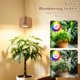 thumbnail image 5 of Lámpara de cultivo ZorpOrigin 30W LED con temporizador, 5 of 8