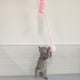 thumbnail image 3 of Cat Toys For Indoor Cats, Attractive Relieve Boredom High Elasticity Rope Simulation Balls, 3 of 4