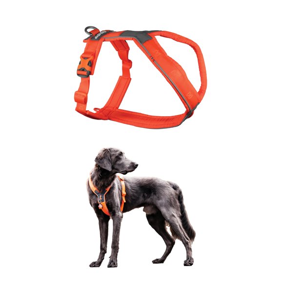Arnés para perro Non‑stop dogwear 5.0 acolchado talla 2 naranja
