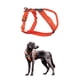 thumbnail image 1 of Arnés para perro Non‑stop dogwear 5.0 acolchado naranja talla 1, 1 of 9