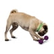 thumbnail image 4 of Juguete para perros Mordible Hueso Waggle Mediano, 4 of 5