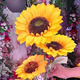 thumbnail image 3 of Girasol artificial vara individual 60 cm, 3 of 3