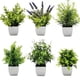 thumbnail image 1 of Plantas Artificiales De Interior Conjunto De 6 Pequeñas Plantas Falsas En Macetas Planta De Casa Falsa Para La Decoración Del Hogar, 1 of 3