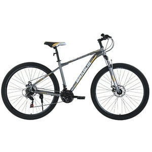 Bicicleta Mtb Aro 29 Brabus Raiden Gris