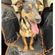 thumbnail image 4 of Protector Funda Cubre Asiento Auto Perros Mascotas, 4 of 5