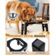 thumbnail image 4 of Comedero Elevado Ajustable para Perros Jovrun con 5 Alturas, 4 of 7