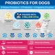 thumbnail image 4 of Vitaminas En Polvo Para Perros 10 En 1 Con Probióticos 90 Dosis, 4 of 9