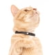 thumbnail image 5 of Collar para gatos Nuvuq Breakaway, suave, cómodo y ligero, x3, 5 of 7