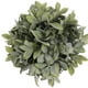 thumbnail image 3 of Planta Verde 20 Cm, 3 of 3