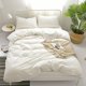 thumbnail image 1 of Juego de ropa de cama Rural Dandelion, 100% algodón lavado, talla doble, 1 of 7