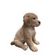 thumbnail image 2 of Cachorro Golden Retriever de 25 cm de Figurine Hi-Line Gift Ltd., 2 of 6